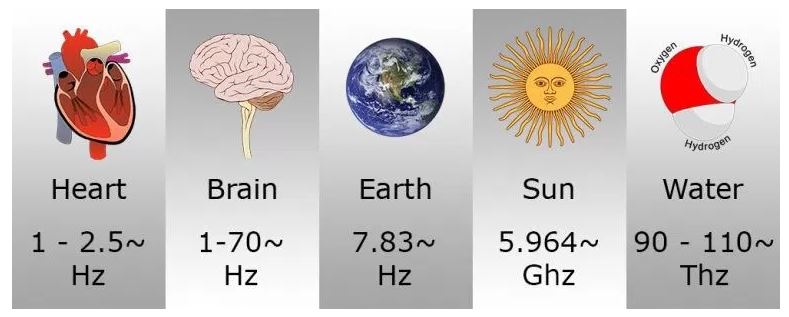 Hertz Frequency